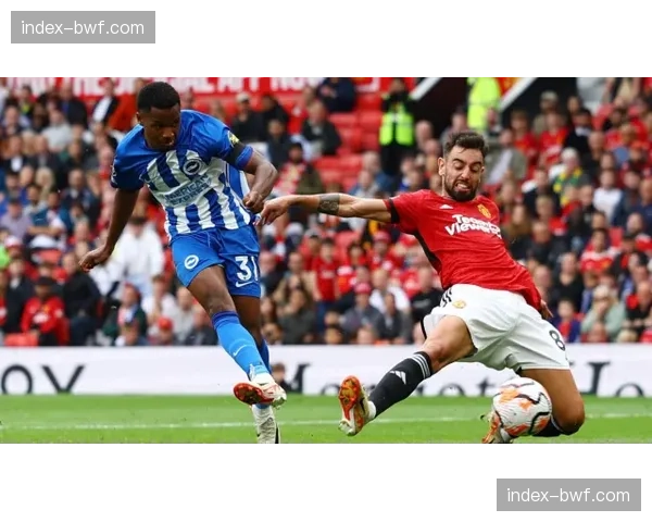 人物聚焦：从英冠到英超，布莱顿防线新核如何成为本赛季拦截榜榜首